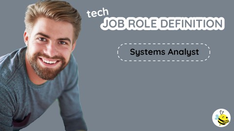 Systems Analyst: analisi sistemi informativi aziendali